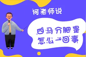 四马分肥是怎么一回事