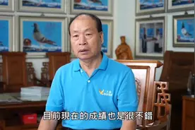 台湾强豪蔡大豪与他的三大鸽系“哈利”“飞诺”“斑格51”视频封面