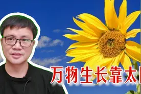 整个夏天迷迷糊糊睡不醒？中气不足心脾阳虚，一种方法不花一分钱视频封面