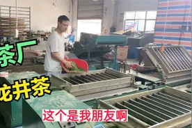 很多人喝过龙井茶，但你知道它是怎么加工吗？大鹏带你去茶厂看看视频封面
