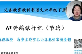 六年级语文 《6 骑鹅旅行记》0227视频封面