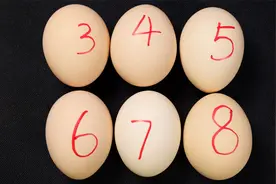 别纠结了，我来告诉你鸡蛋煮几分钟最合适视频封面