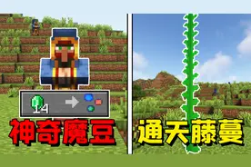 我的世界：一晚就能长成的神奇魔豆，藤蔓顶端竟连通着天界