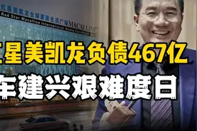 车建兴财富缩水428亿，红星美凯龙负债467亿能否成功转型？视频封面