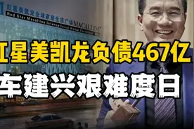 车建兴财富缩水428亿，红星美凯龙负债467亿能否成功转型？视频封面
