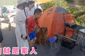 四川美女带两条狗穷游中国，她说狗就是家人，舍不得离开它视频封面