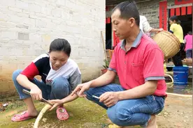 打工妹在家门口，挖起一条树根，老人却当做神药，如今很少人敢吃