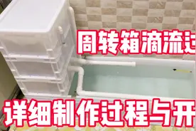 周转箱三层滴流详细制作过程，滤材的摆放及开缸，一看就能学会了