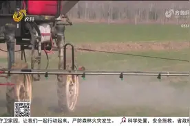 科技赋能！现代农机进田间，麦田全程机械化管理，农民种地更轻松视频封面