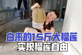 在越南实现榴莲自由，白来的15斤大榴莲开出满满一盆肉，满院飘香