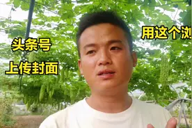 手机浏览器登录头条号不能上传封面，使用这个浏览器可以视频封面