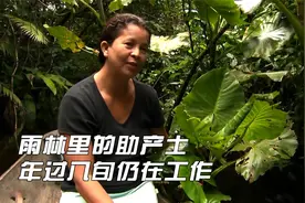雨林里的助产士们，有人年过8旬仍在工作，曾接生过数百个孩子视频封面
