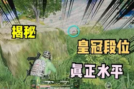 和平精英：揭秘皇冠段位实战水平，是你想象的吗？网友：我是王牌