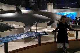 青岛的海洋生物馆，非常不错视频封面