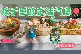 五彩缤纷的泰国小院子视频封面
