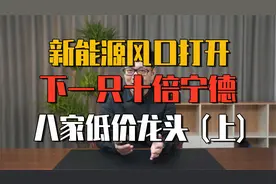 A股八家五元低估值龙头，新能源风口打开成长空间（建议收藏）上视频封面