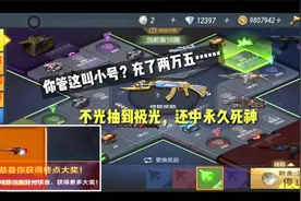你管这叫小号？充了两万五，不光抽到极光！还中永久死神！想不通