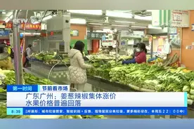 节前看市场 广东广州：姜葱辣椒集体涨价 水果价格普遍回落视频封面