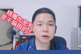 精雕加密狗是干嘛用的？@北京精雕集团