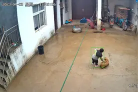 2岁宝宝不小心把自己锁在家里 情急之下求助小狗帮忙开门视频封面