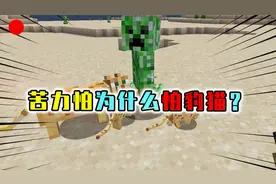 MC苦力怕天敌之谜！苦力怕怕豹猫，原因是看到了自己的样子？