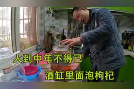 两斤新鲜的金樱子，一斤枸杞泡10斤酒，2023为房车旅行准备口粮酒视频封面