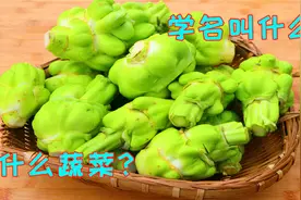 原来每天吃的榨菜就是这样的，几块钱做一大盘，又脆又爽简单好吃视频封面
