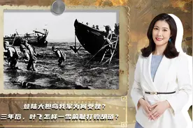 登陆大担岛我军为何受挫？三年后，叶飞怎样一雪前耻打败胡琏？视频封面