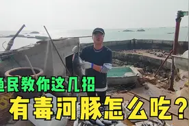 河豚咬合力有多强？三五两口钢筋直接咬断，带毒海洋生物怎么吃？视频封面
