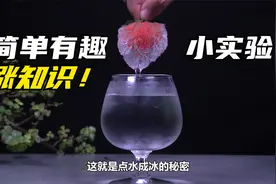 寒假孩子在家可以玩的趣味科学小实验，让孩子在实验中轻松涨知识视频封面