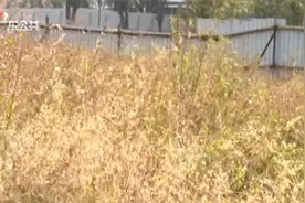 心塞！东莞一业主交了200万建别墅，苦等10多年没动工视频封面