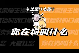 这是什么梗：你在狗叫什么？