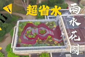 专治极端天气！澳大利亚屋顶花园收集雨水 再也不用交水费了视频封面