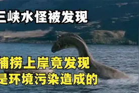 三峡水怪终于被找到，原来是因为环境污染，而造成的一出“闹剧”视频封面