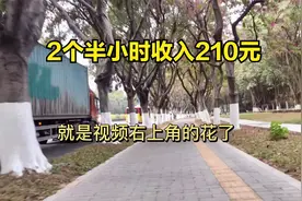 顺丰同城的大网件从下午3点钟开始到5点钟左右，收入210元如何视频封面