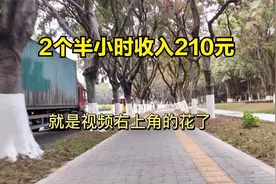顺丰同城的大网件从下午3点钟开始到5点钟左右，收入210元如何视频封面