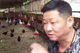 网传“三德子”回村养鸡，已经发家致富，本人辟谣：其实并不赚钱视频封面