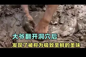 这种极致至鲜，只有生长在海边的人才能吃到？？？视频封面