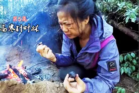 它曾经差点要了野外生存专家的命，古书记载三年不挖是剧毒视频封面