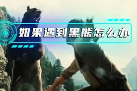 如果你在野外遇到黑熊应该怎么办？