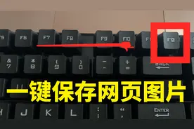 网页图片不能保存？免费教你零门槛一键保存任何网页的照片视频封面