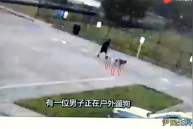 剖析遛狗被雷击原因