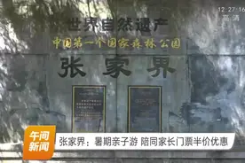 张家界：暑期亲子游优惠政策，陪孩子旅行可享受门票半价视频封面