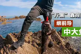 小哥海边玩路亚秒中“斤黑”，想要钓大鱼，前导线必不可少呀