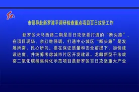 龙岩市领导赴新罗漳平调研检查重点项目百日攻坚工作视频封面