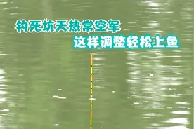死水塘水质差鱼难钓？那是方法没用对，这样调整轻松把鱼钓上岸！视频封面