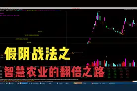 假阴战法之智慧农业连板详解，抓主升阶段才是我们炒股的精髓！视频封面