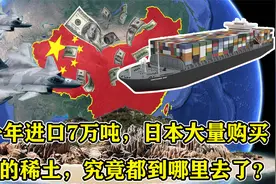 曾一年进口7万吨，日本大量购买中国的稀土，究竟都到哪里去了？视频封面