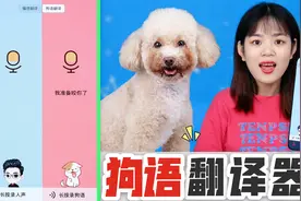 狗狗竟然会说话？挑战用狗语翻译器和狗狗对话，真的能听懂吗？视频封面