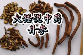 自然丹参无黑片，山东丹参品质高；染色丹参怎么鉴别？一看就会！视频封面